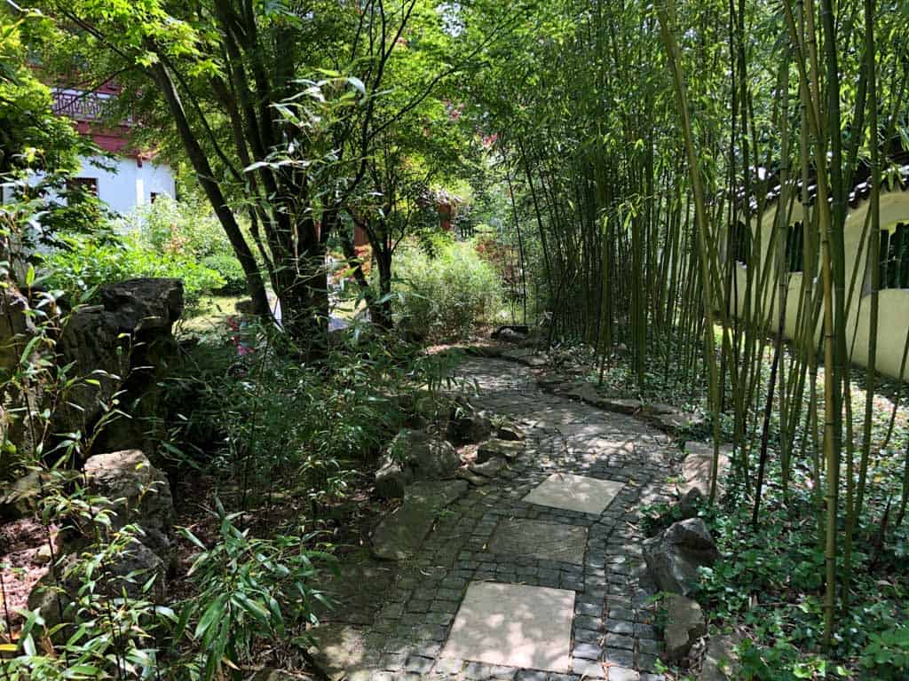 Lopen tussen de bamboe