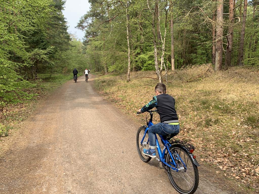 We fietsen verder door het bos.