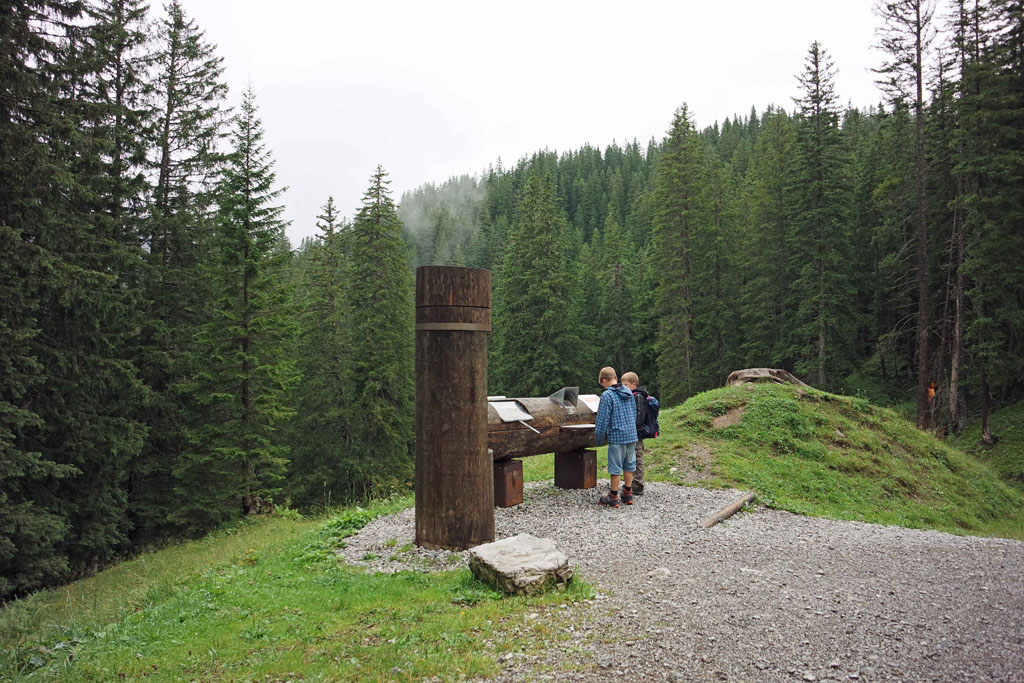 De boomstammen vertellen ons over de natuur hier in de Alpen brandnertal-wandelen-met-kinderen