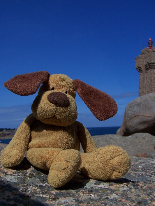 Hondje in Bretagne, tijdens een wandeling langs de kust (2011)