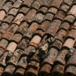rooftiles801x355