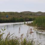 Wandelen-naar-vogelhut-in-Zwanenwater