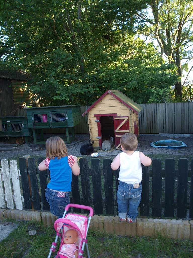 Een camping met dieren doet het altijd goed bij kinderen.