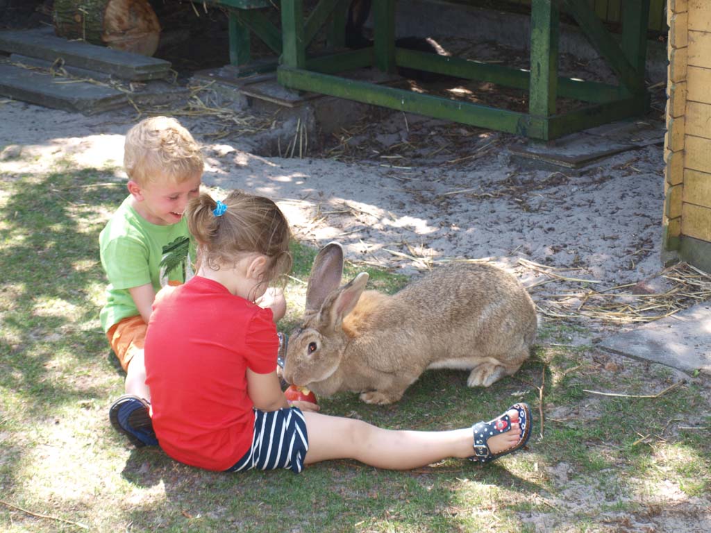 Maureen en Mika voeren een appel aan het konijn. Wat een heerlijk campingleven!