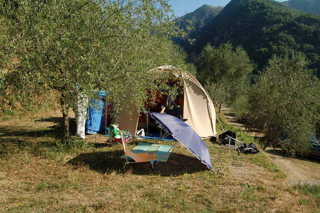 De plek van Lineke op camping Sainte Madeleine in Zuid-Frankrijk.