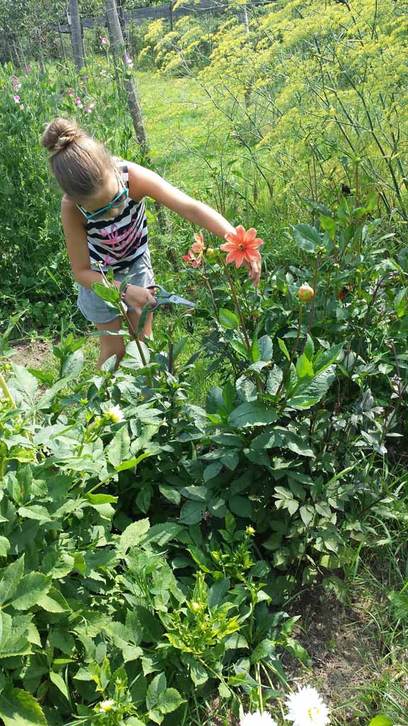 Bloemen plukken.