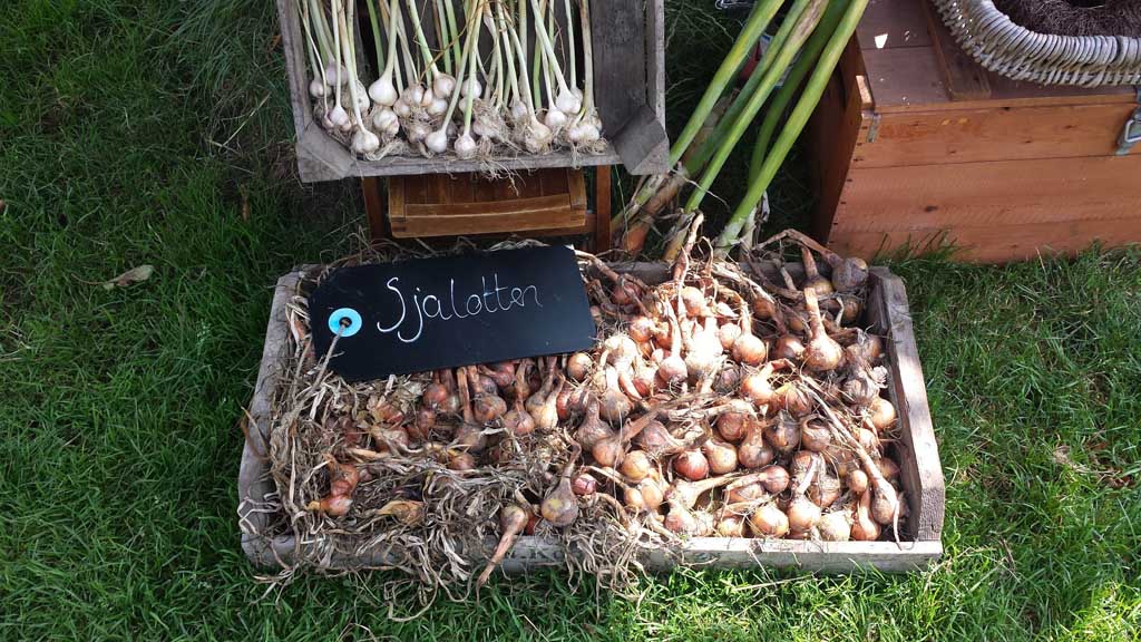 Er is van alles te 'plukken' in Pluktuin Het Platteland.