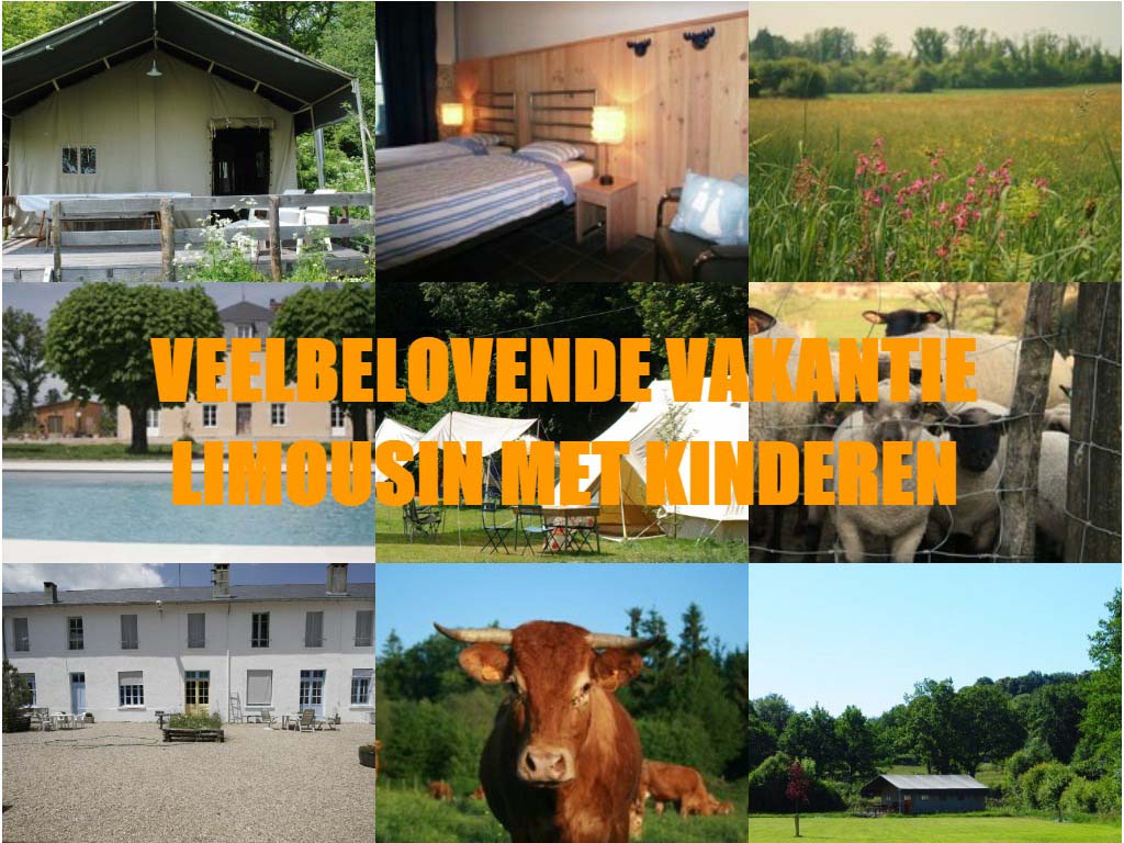 Limousin met kinderen