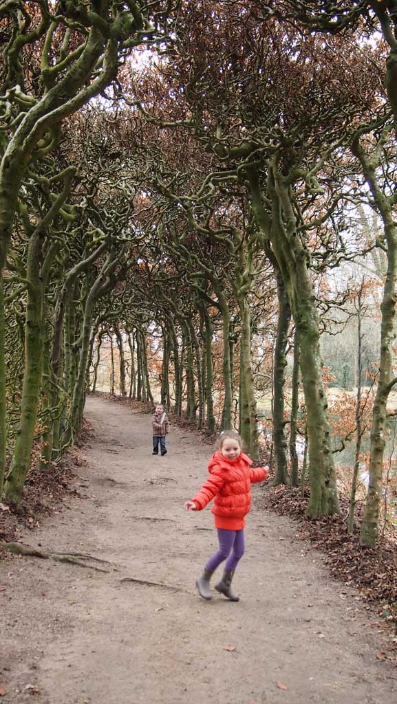 Leuk: onder een boog van bomen door lopen.