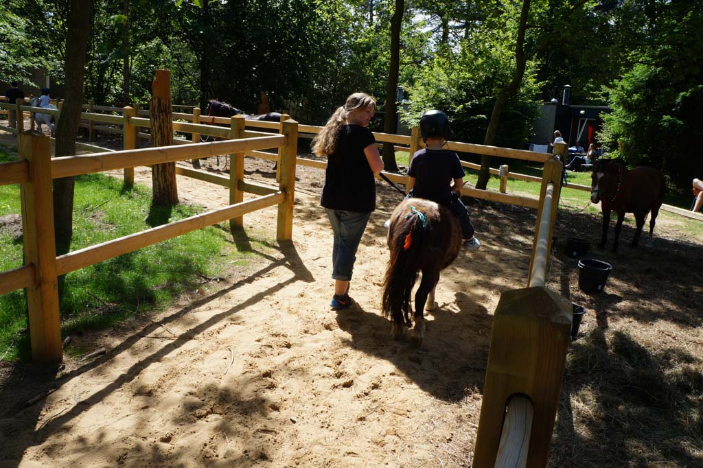 Een ritje op de ranch.