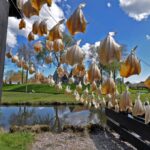 Zuiderzeemuseum-Enkhuizen-recensie