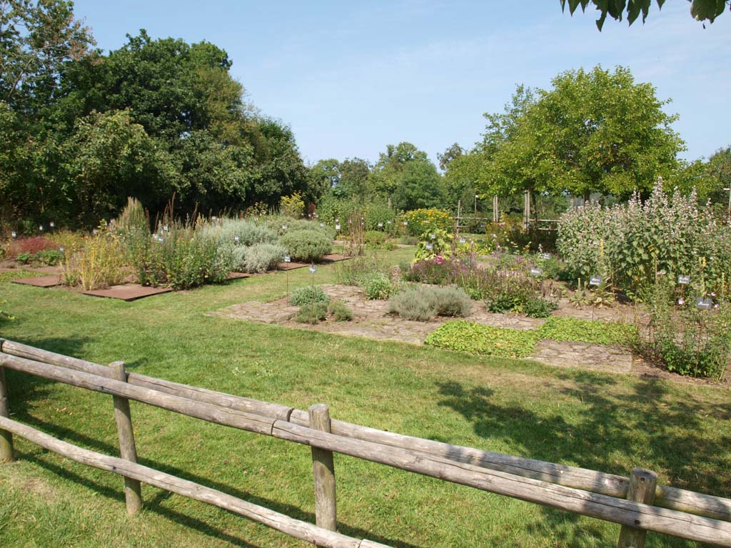 Ondanks de warme zomer is de tuin erg groen.