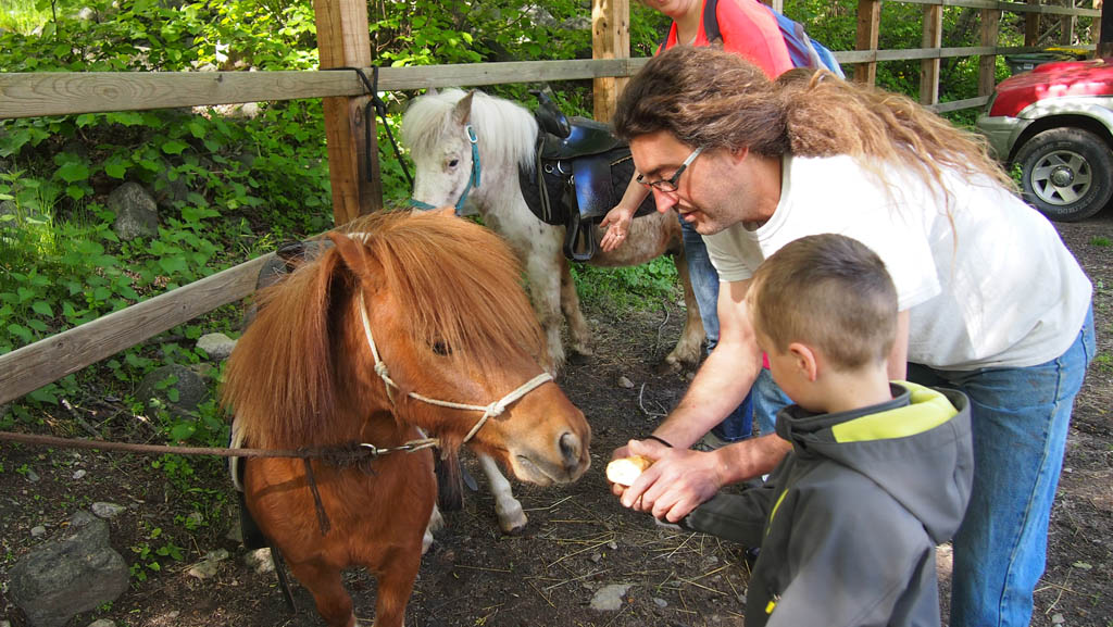 Voordat we weggingen mochten Maureen en Camiel de pony's nog iets te eten geven. En ja, ook dat aten ze op!