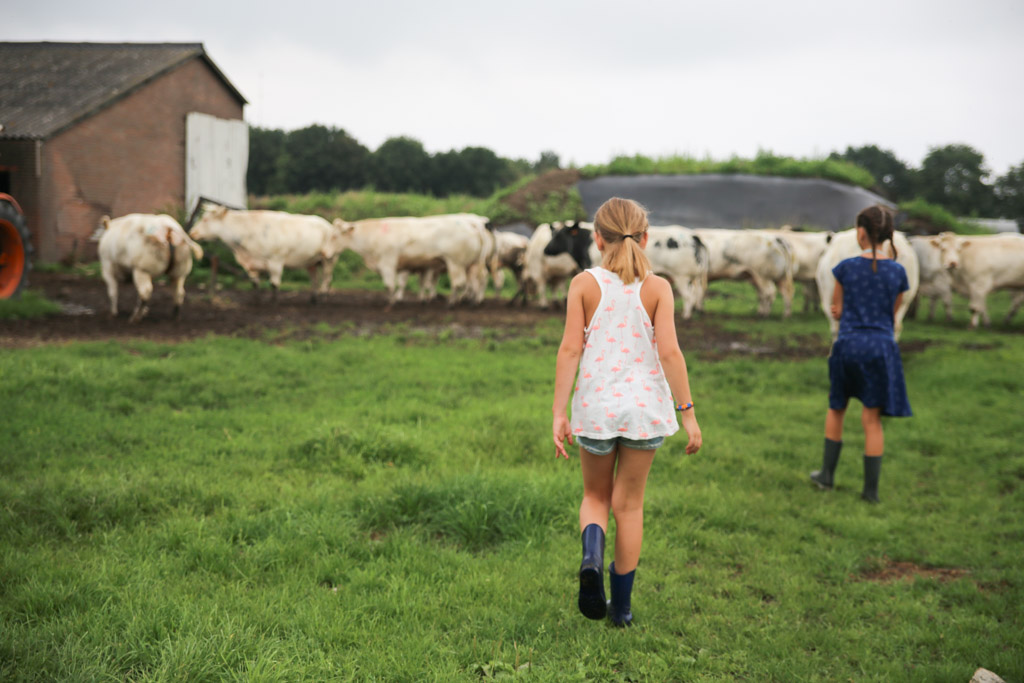 Kinderen zijn met weinig tevreden en vermaken zich heerlijk op een boerderij.