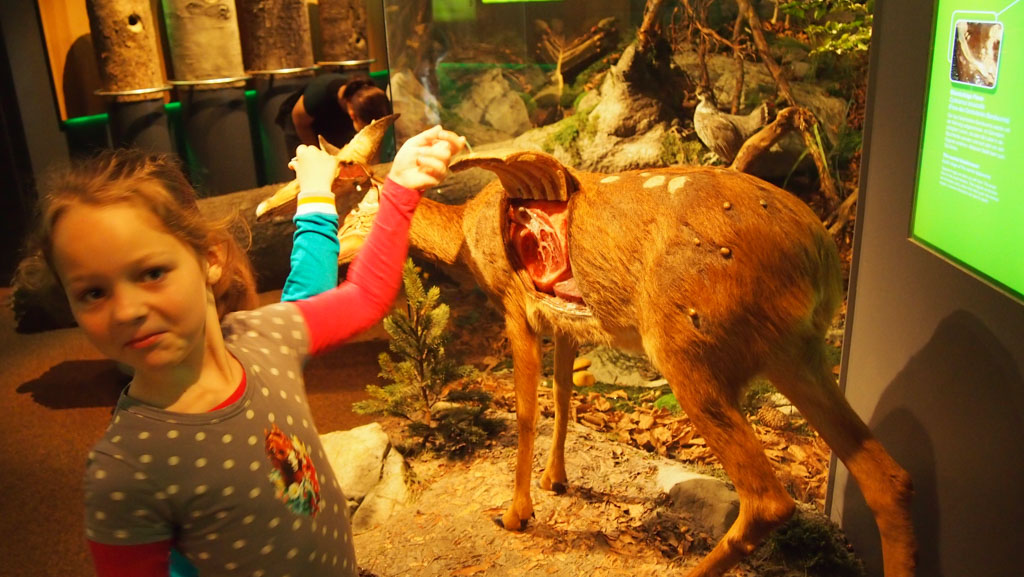 Salzburg met kinderen: Haus der Natur