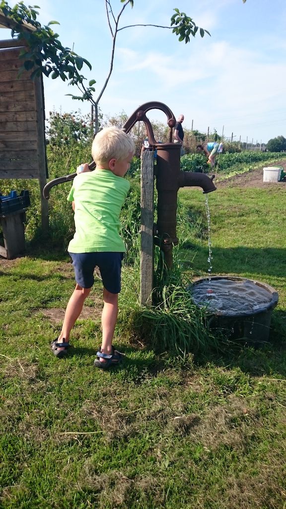 Met de waterpomp spoel je de grond van de groenten.