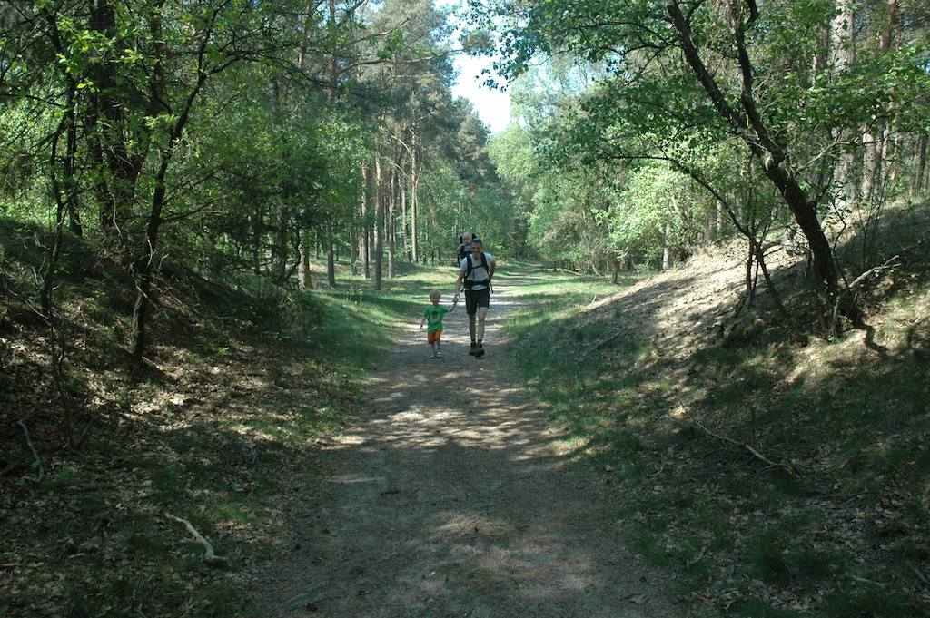 Wandelen in de bossen rondom de camping.