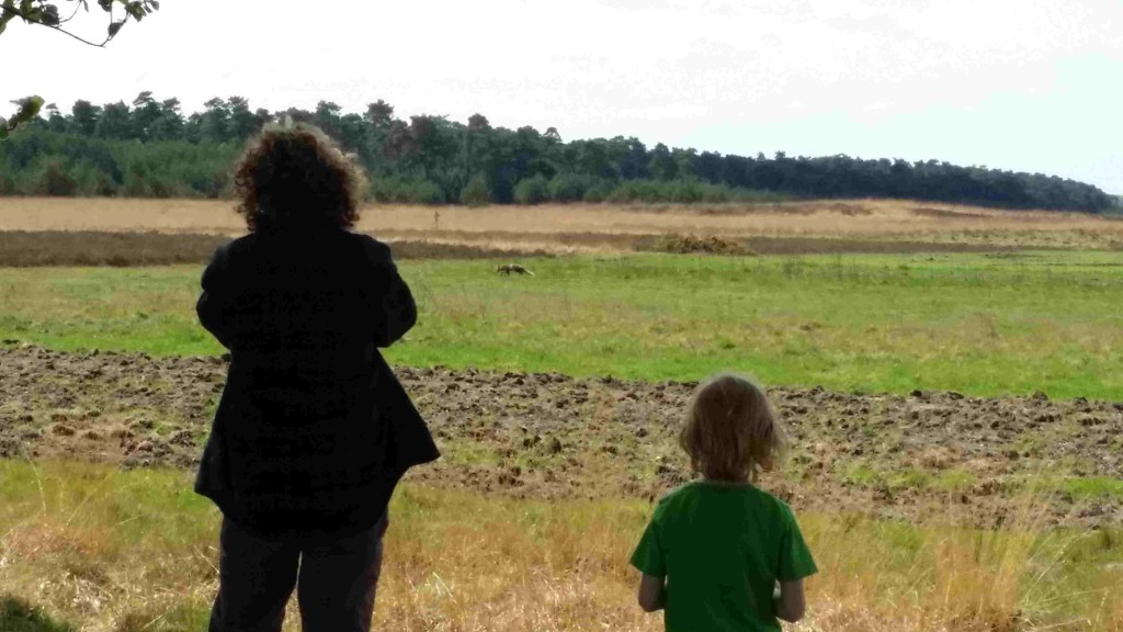 Samen wild spotten vinden de meeste kinderen geweldig.