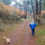 HogeVeluwe-wandelen-met-kinderen1