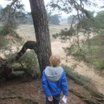 HogeVeluwe-wandelen-met-kinderen2