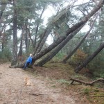 HogeVeluwe-wandelen-met-kinderen3-2