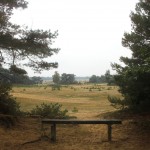 HogeVeluwe-wandelen-met-kinderen4