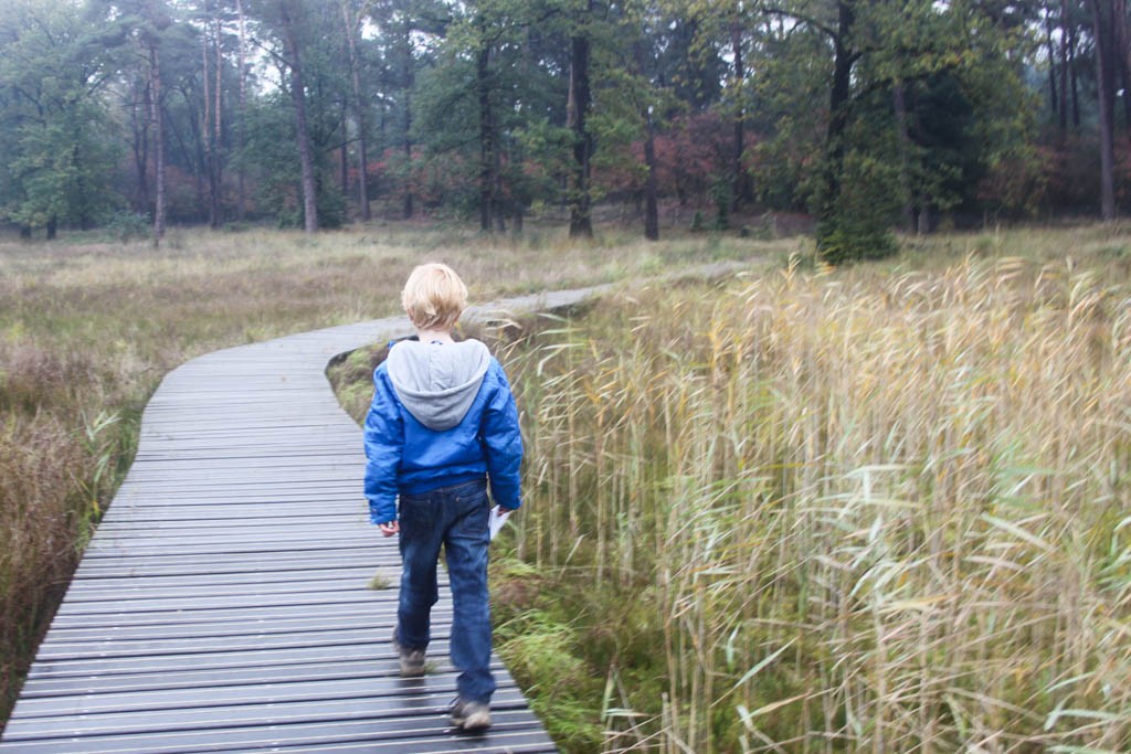 HogeVeluwe-wandelen-met-kinderen6-1