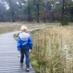 HogeVeluwe-wandelen-met-kinderen6-1