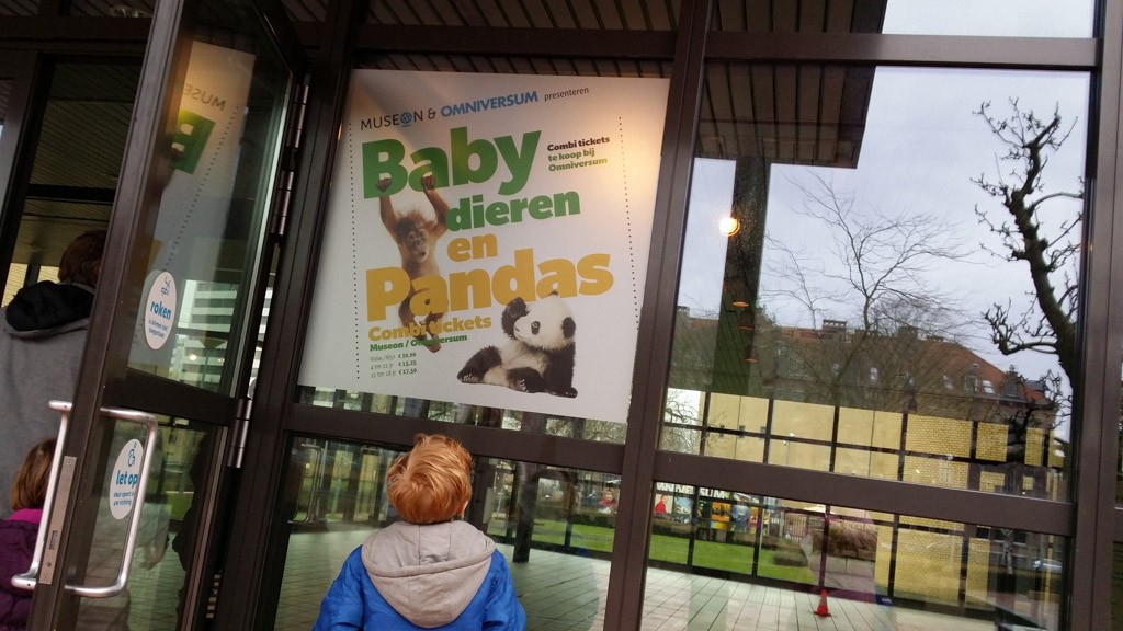 Wij komen voor de babydieren.