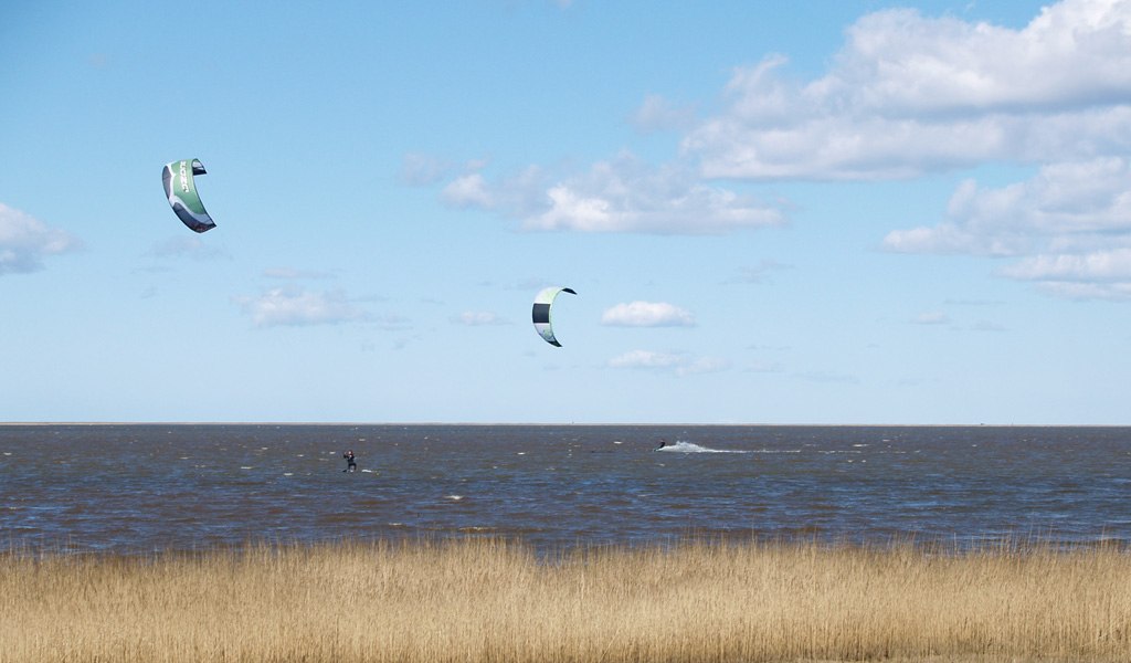 Kite-surfers in actie.