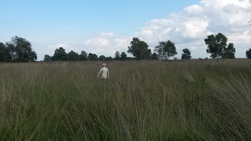 Struinen door de natuur, het kan zo fijn zijn. Let wel goed op, teken zitten graag in gras, dus check jezelf en je kinderen na afloop op tekenbeten.