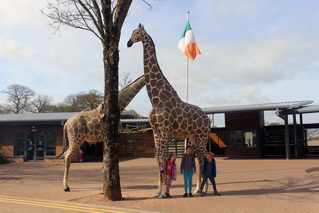 Ierland dierentuin - 1