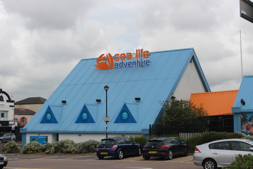 Nog zo'n attractie voor gezinnen: Sea Life.