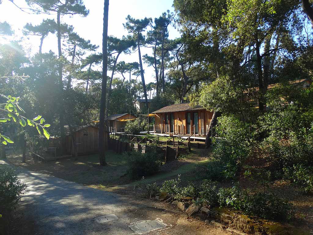 De bungalows op Paradu Tuscany EcoResort onder de hoge bomen.