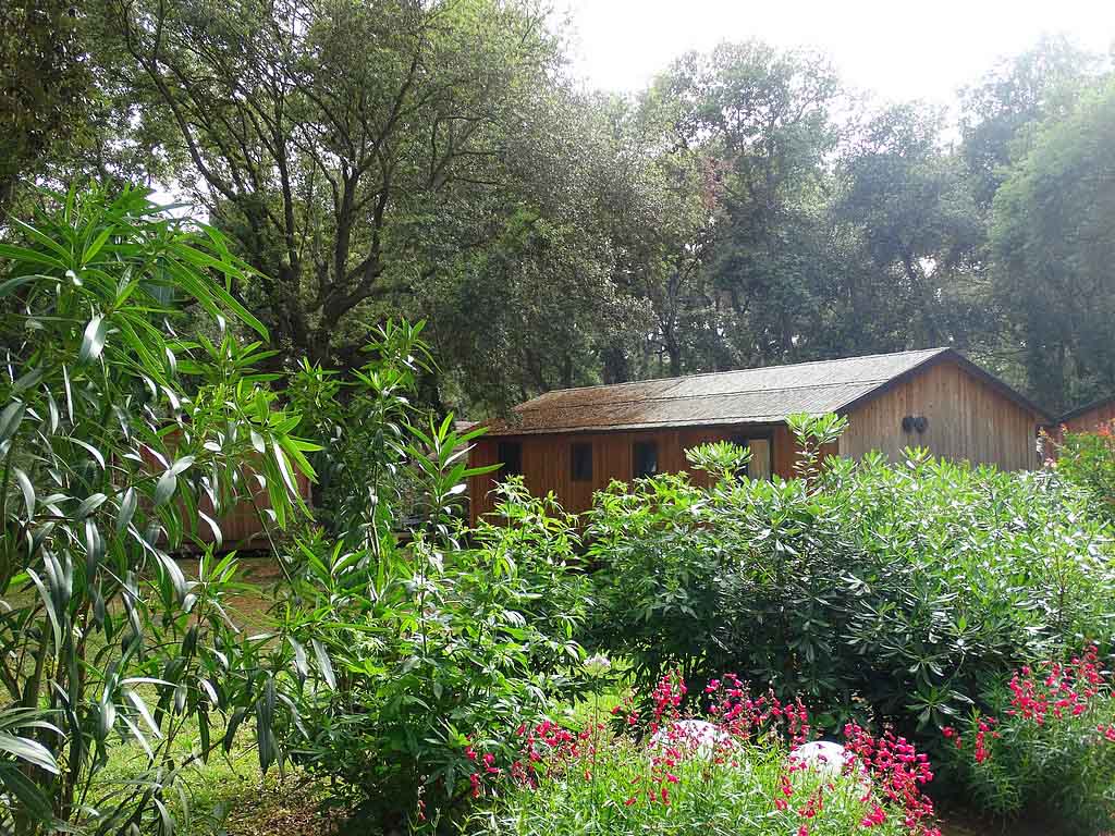 De chalets liggen prachtig in het groen.