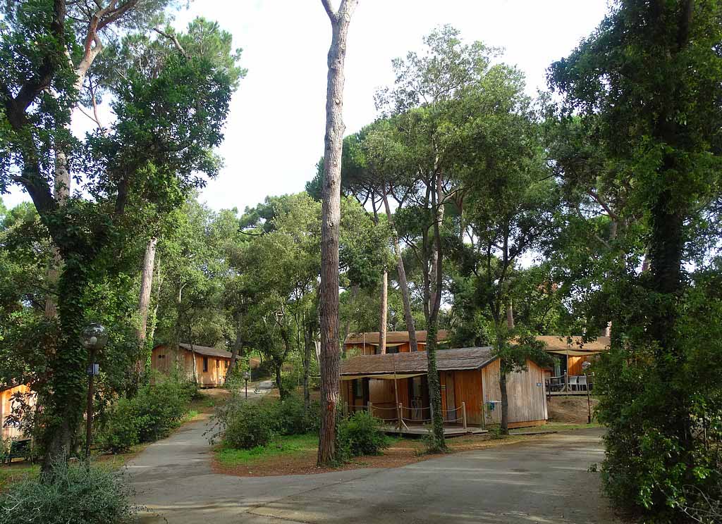 Het park heeft een natuurlijke uitstraling dat versterkt wordt door de houten chalets.