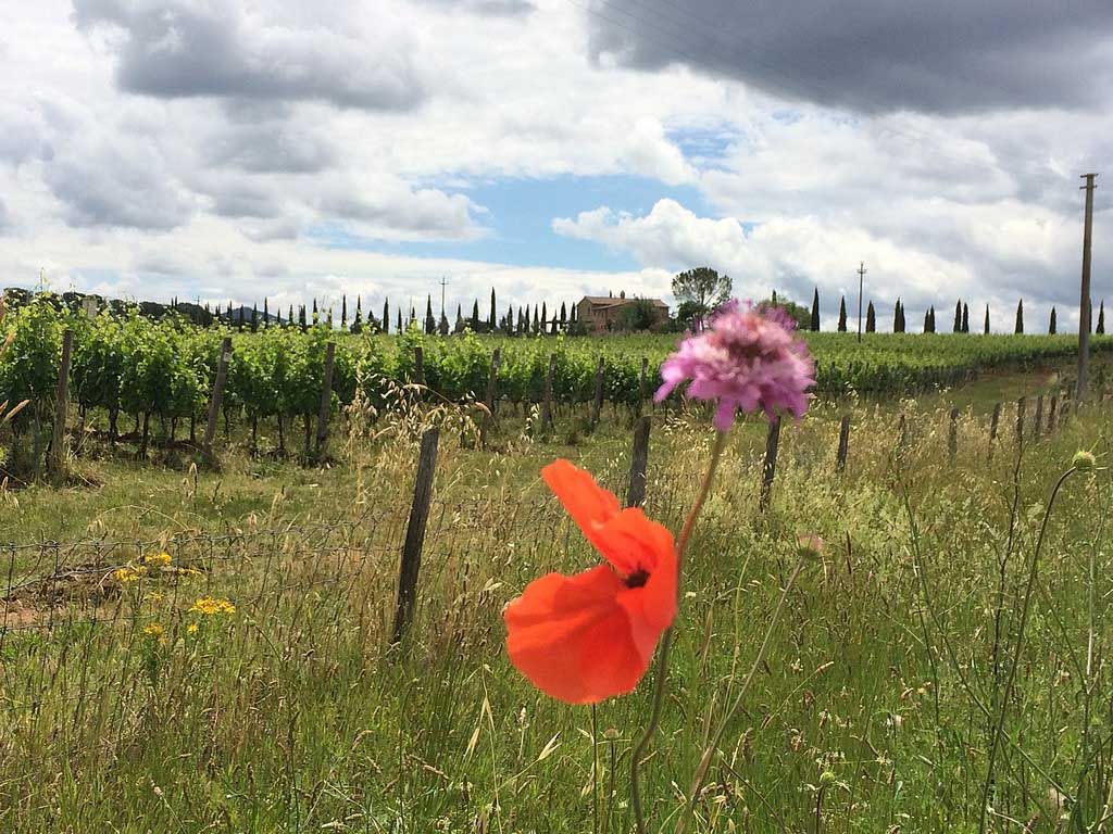 Prachtig Toscane...