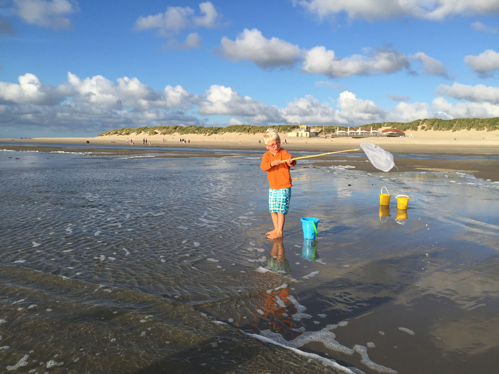 Sier aan Zee  het leukste familiehostel Ameland 