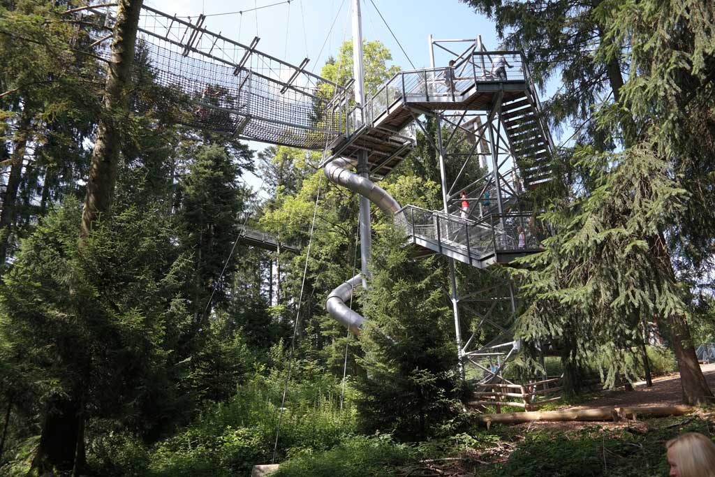 De glijbaan met avonturenbrug midden in het bos.