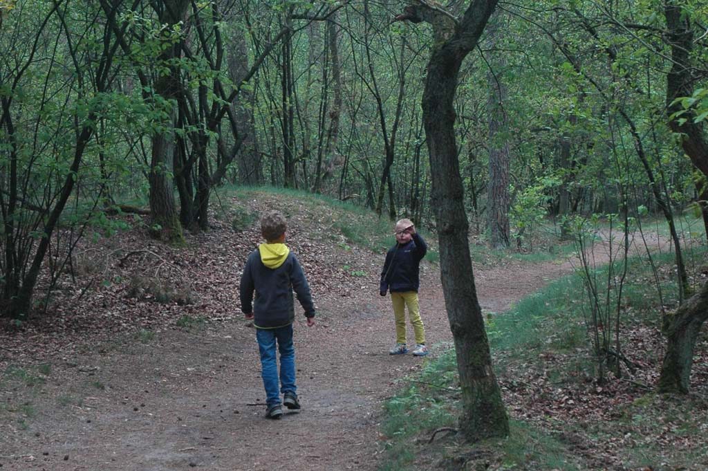 Het begin van de wandeling loopt nog door het bos.