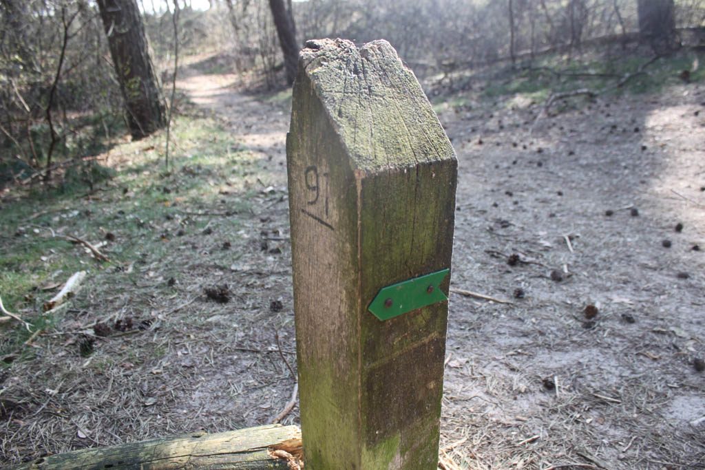 We volgen de groene paaltjes van de wandelroute Mosselsezand.