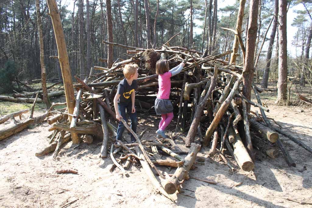 Samenwerken aan een grotere hut.