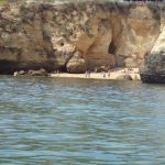 Rondreis-algarve-andalusie15