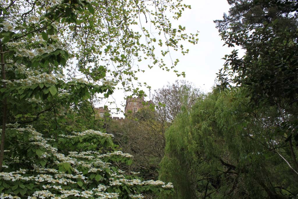 Wandelend door de tuinen hebben we goed zicht op het kasteel.