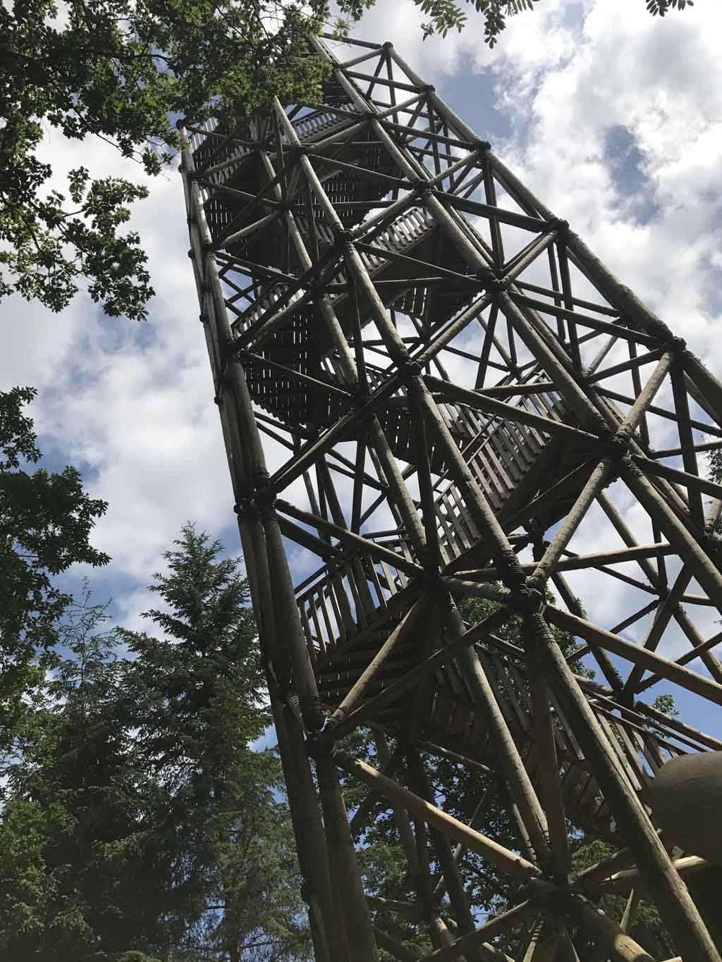 Naast Klimbos Veluwe ligt een hoge uitkijktoren in het bos. Vanaf hier kan je mooi over de Veluwe heen kijken.