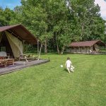 Glamping van Noort – safaritent