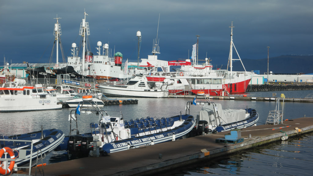De haven van Reykjavik.