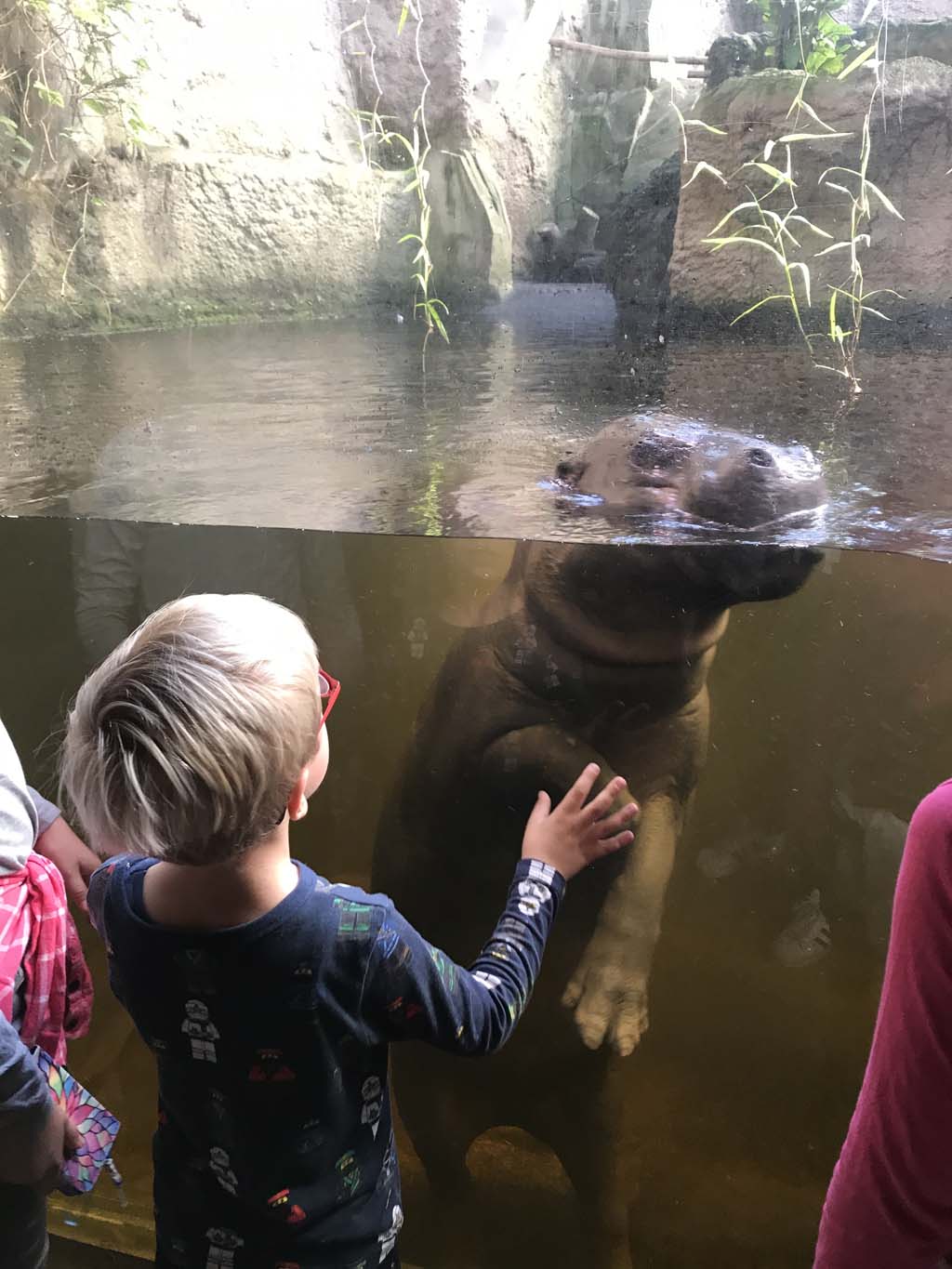 Kindvriendelijke bezienswaardigheden in Saksen nijlpaard