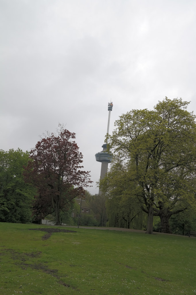 Het Park, vlak achter de Euromast is een groot en groen park vlakbij het centrum van Rotterdam.