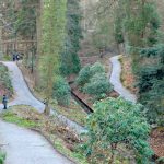 Apeldoorn-met-kinderen-wandelen-door-Berg-en-Bos